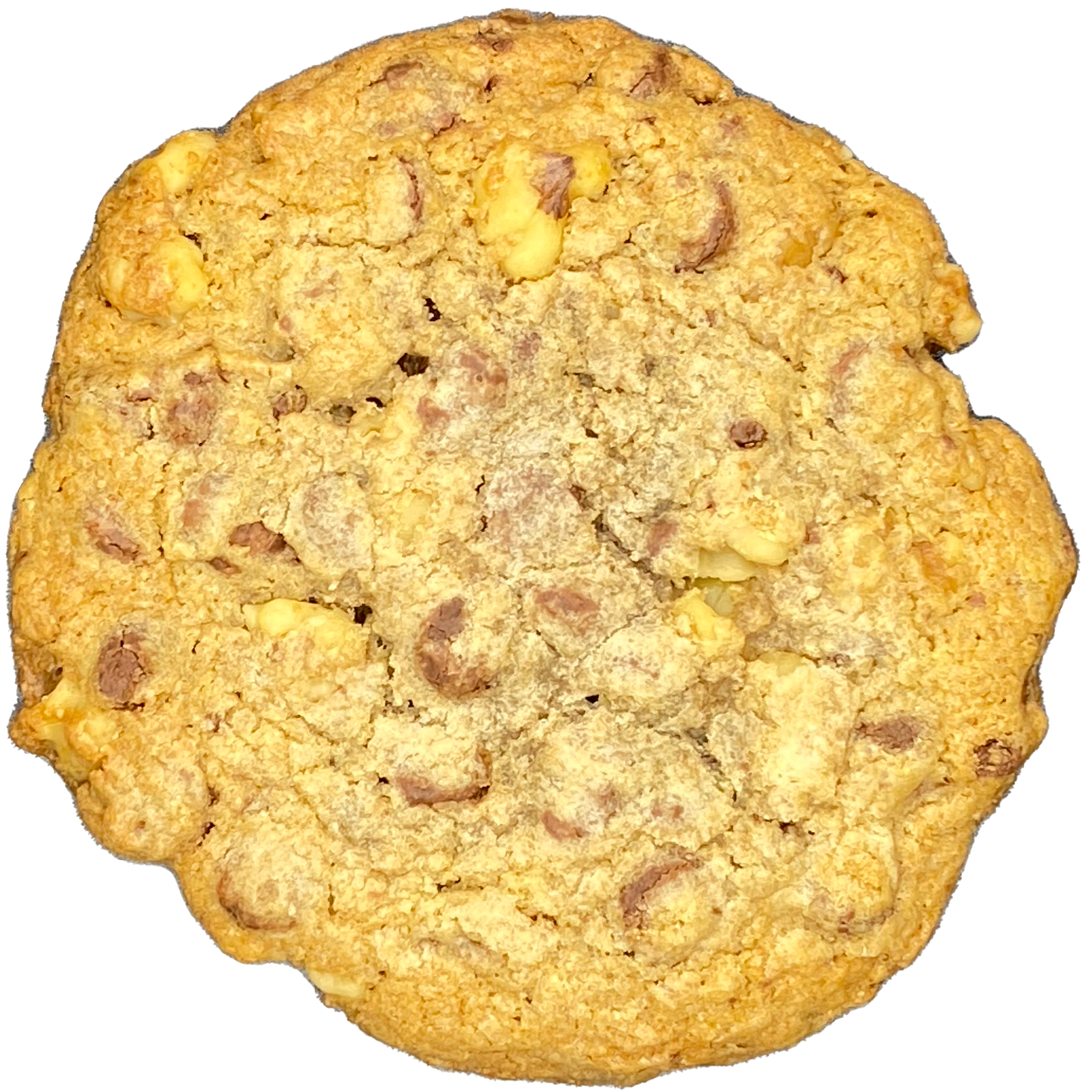 Walnut Chocolate Chip Cookie